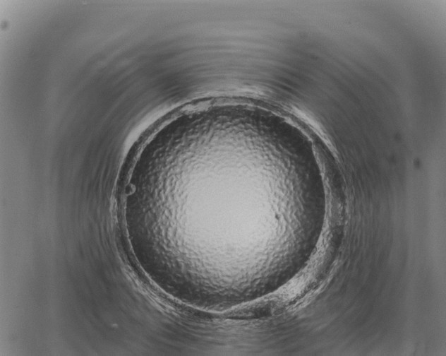 X0000064760928200602131248