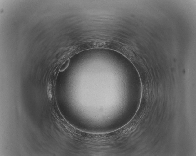 X0000064760962200602131247