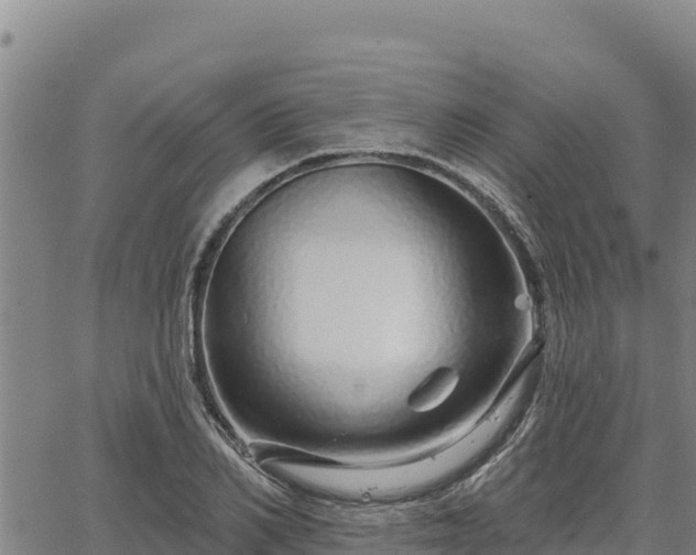 X0000064760982200602131247