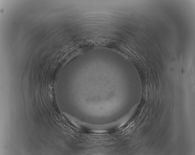 X0000064761010200602131246