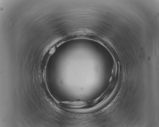 X0000064761018200602131246