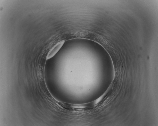 X0000064761058200602131246