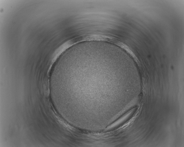 X0000064761075200602131245