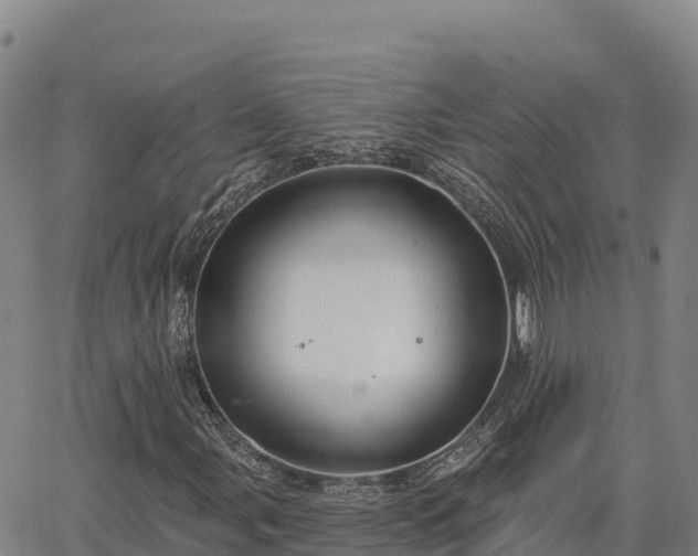 X0000064761107200602131244