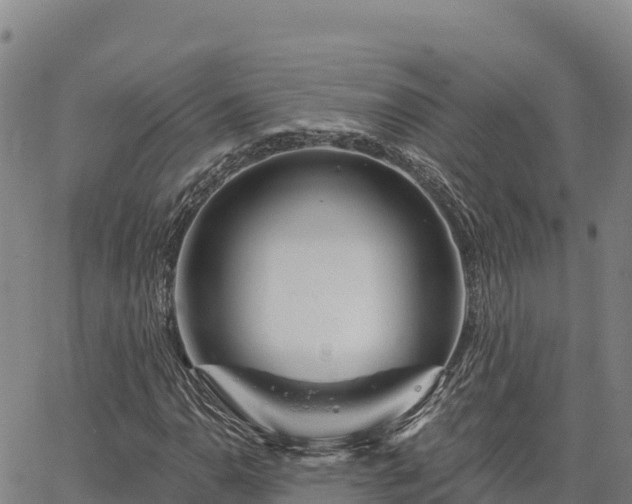 X0000064761110200602131244