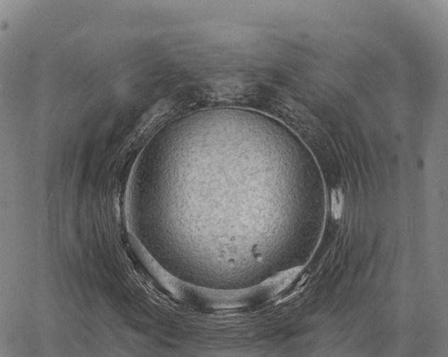 X0000064761155200602131244