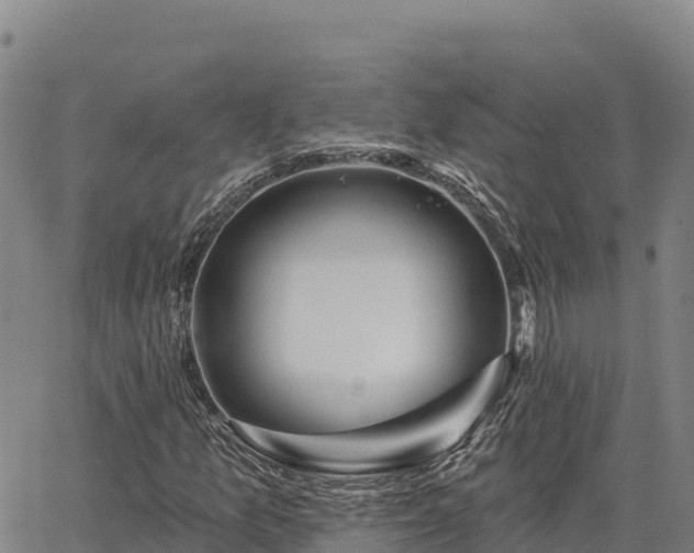 X0000064761157200602131244