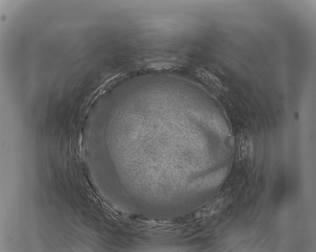 X0000064761158200602131244