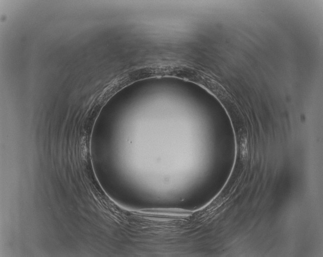 X0000064761204200602131243