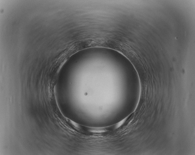X0000064761250200602131243