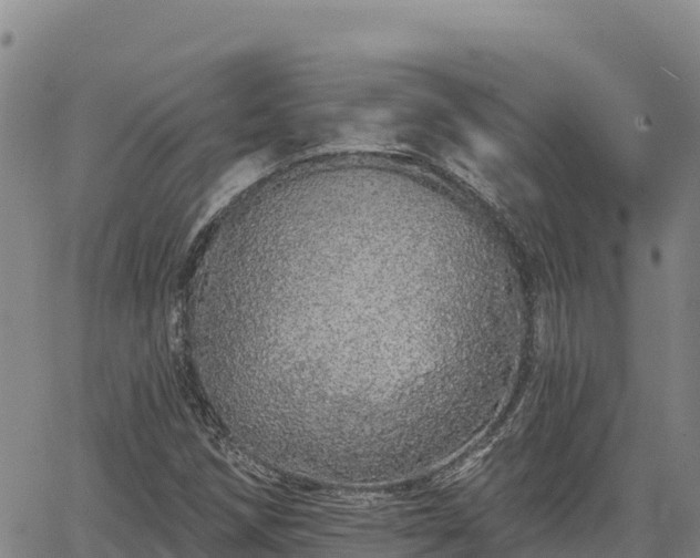 X0000064761258200602131243