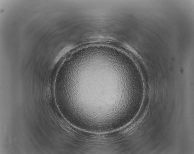 X0000064761259200602131243