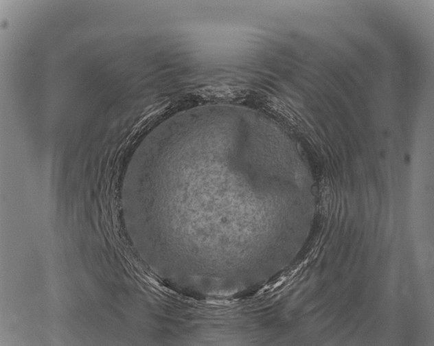 X0000064761297200602131241