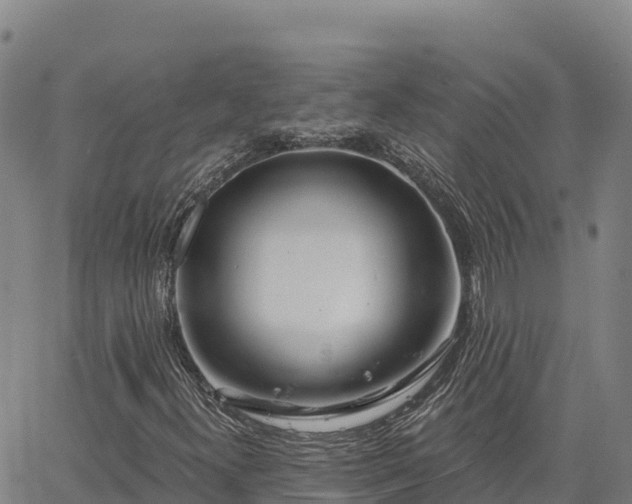 X0000064761300200602131241