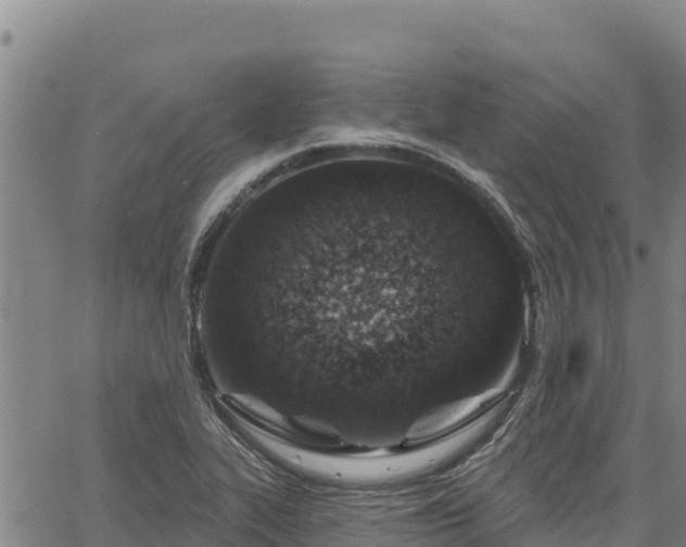 X0000064761319200602131241