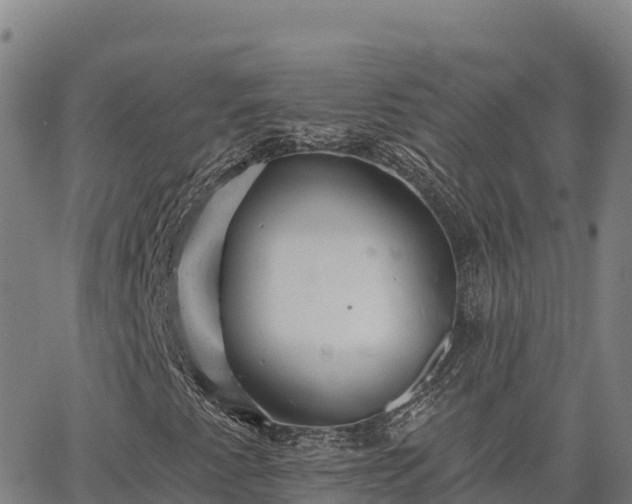 X0000064761345200602131241