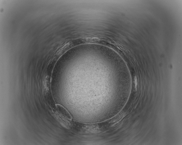 X0000064761346200602131241