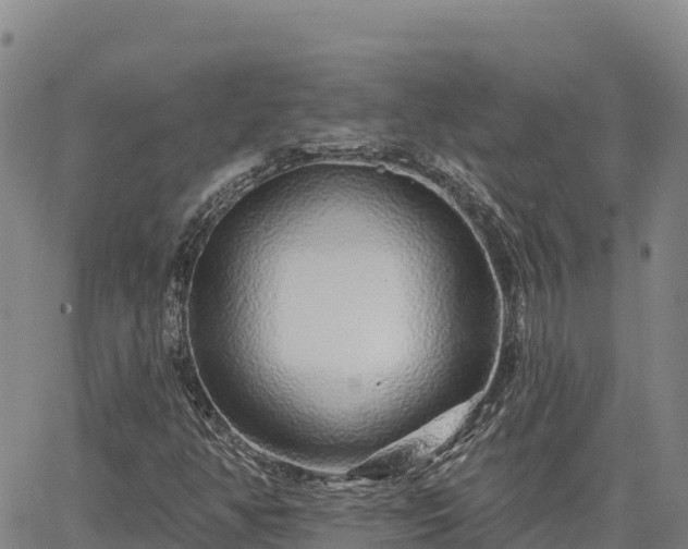 X0000064761350200602131241