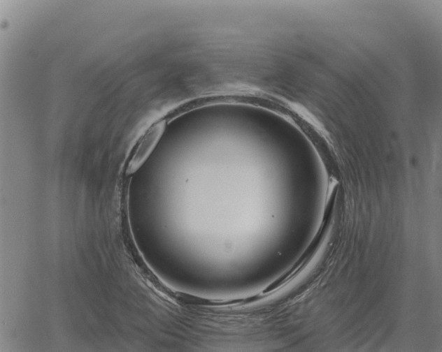 X0000064761364200602131241