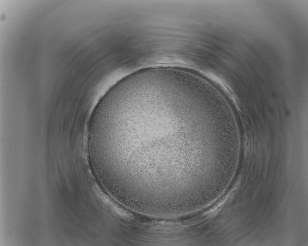 X0000064761374200602131241