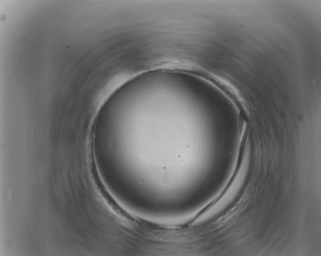 X0000064761375200602131241