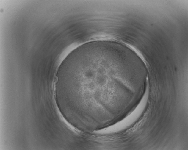 X0000064761383200602131241