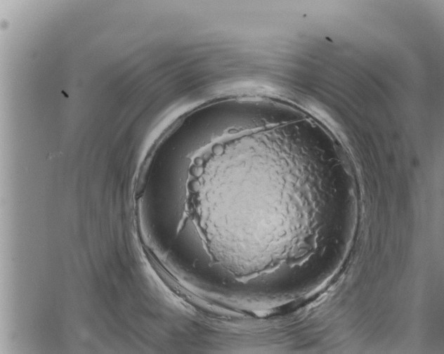 X0000064761392200602131240