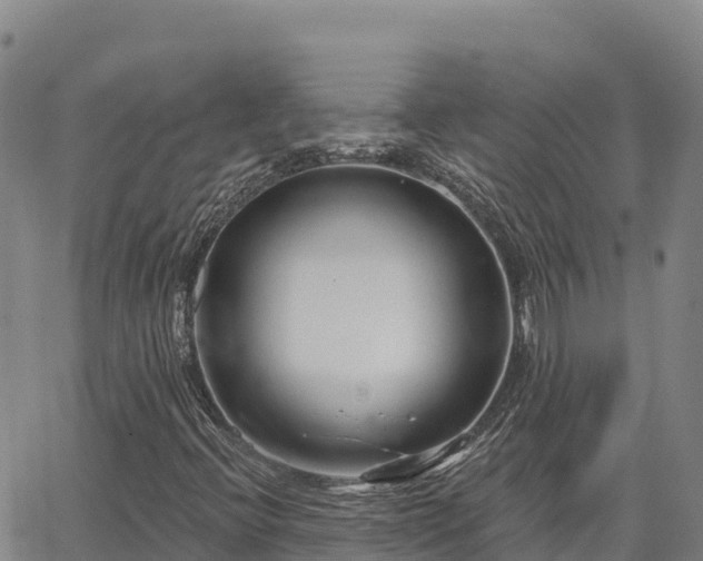 X0000064761396200602131240