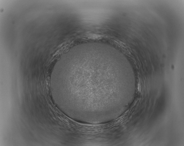 X0000064761397200602131240