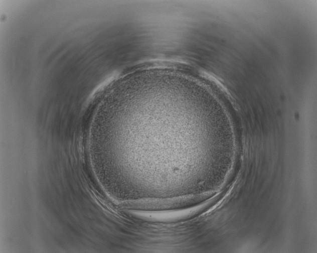 X0000064761403200602131240