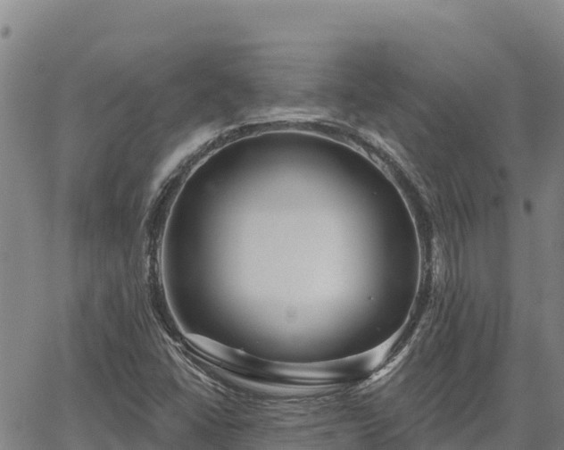 X0000064761406200602131240
