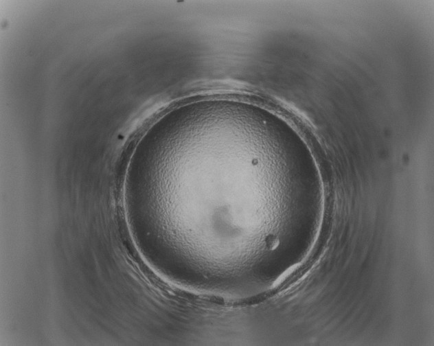 X0000064761407200602131240