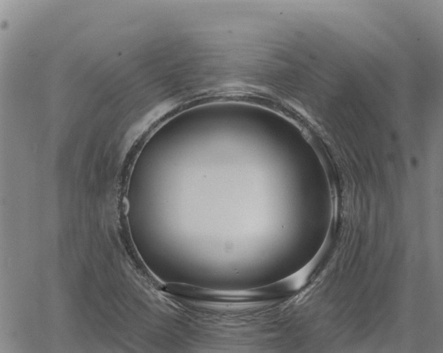 X0000064761410200602131240