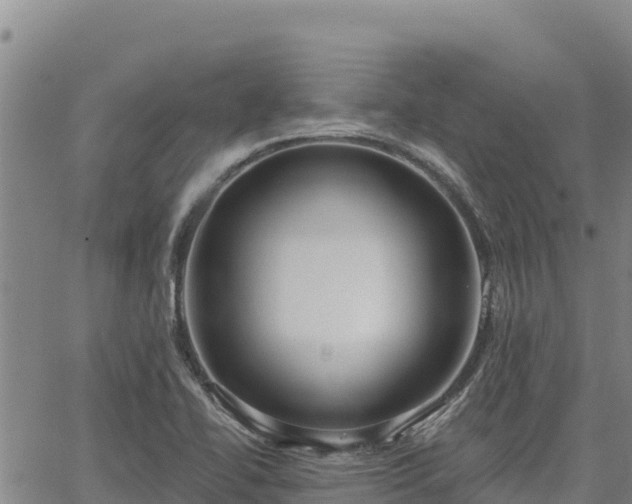 X0000064761414200602131240