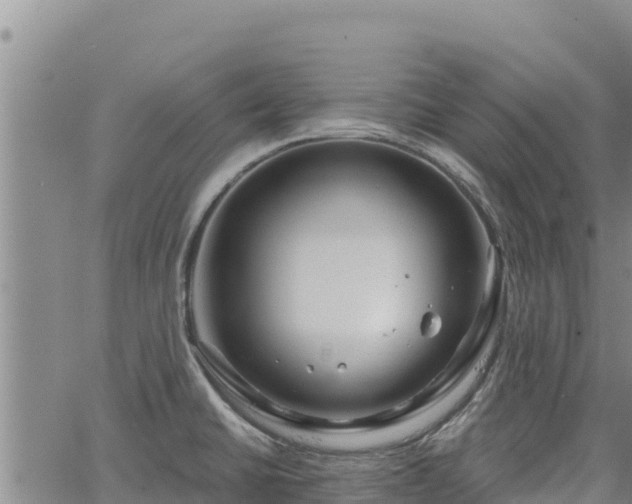 X0000064761430200602131240