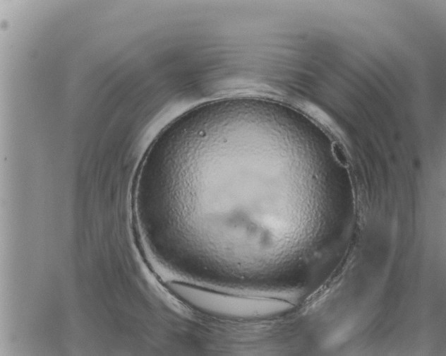 X0000064761431200602131240