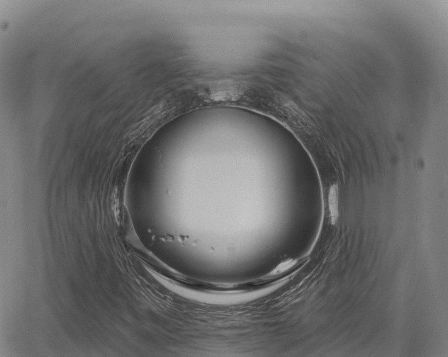 X0000064761443200602131240