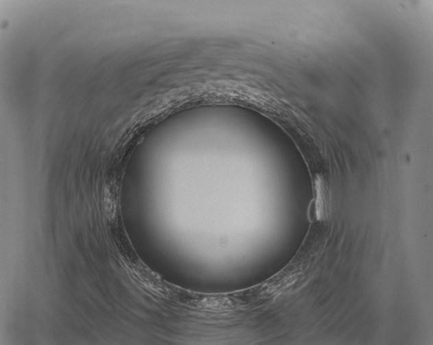 X0000064761491200602131238