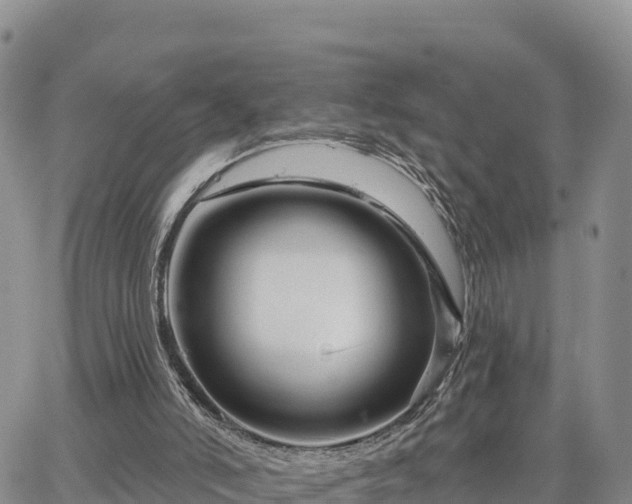 X0000064760006200602171811