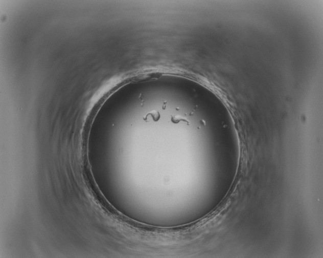 X0000064760008200602171811