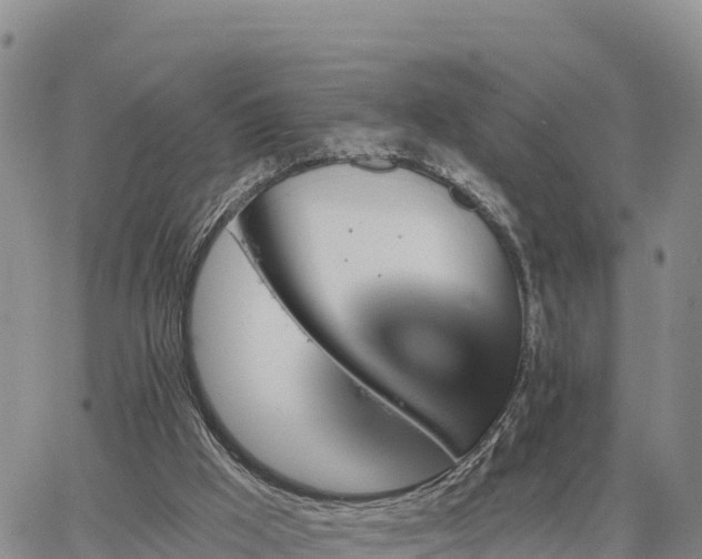 X0000064760009200602171811