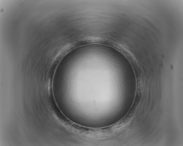 X0000064760024200602171810