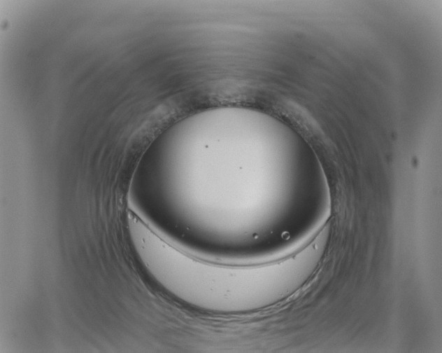 X0000064760025200602171810