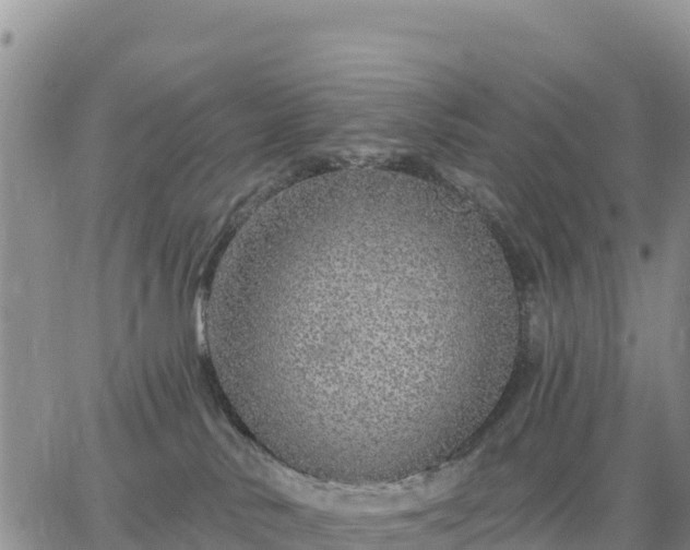 X0000064760042200602171810