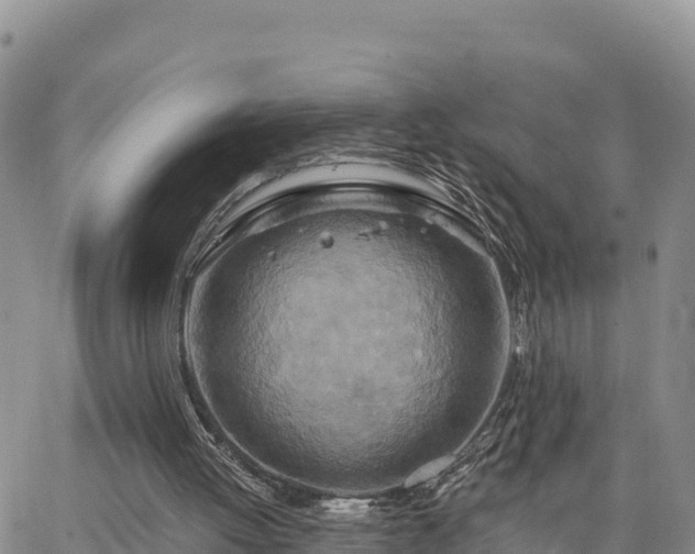 X0000064760052200602171809