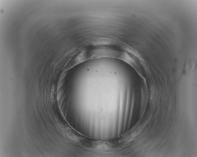 X0000064760073200602171810