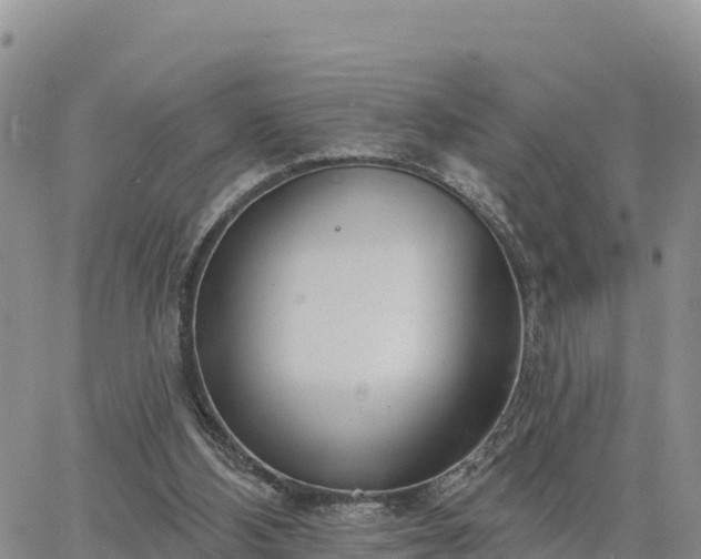 X0000064760108200602171809