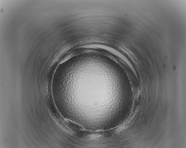 X0000064760158200602171808