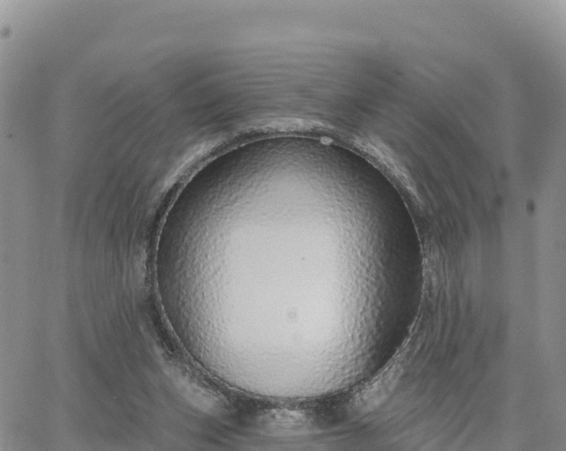 X0000064760159200602171808