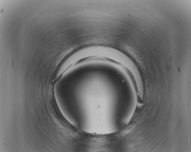 X0000064760164200602171808